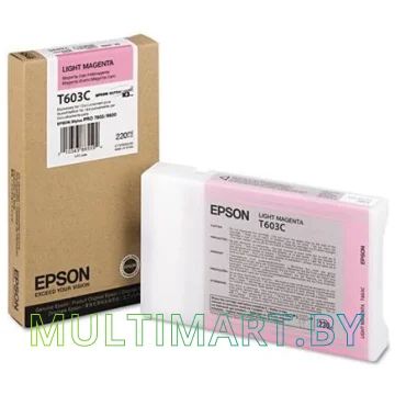 Картридж Epson C13T603C00 картинка 3